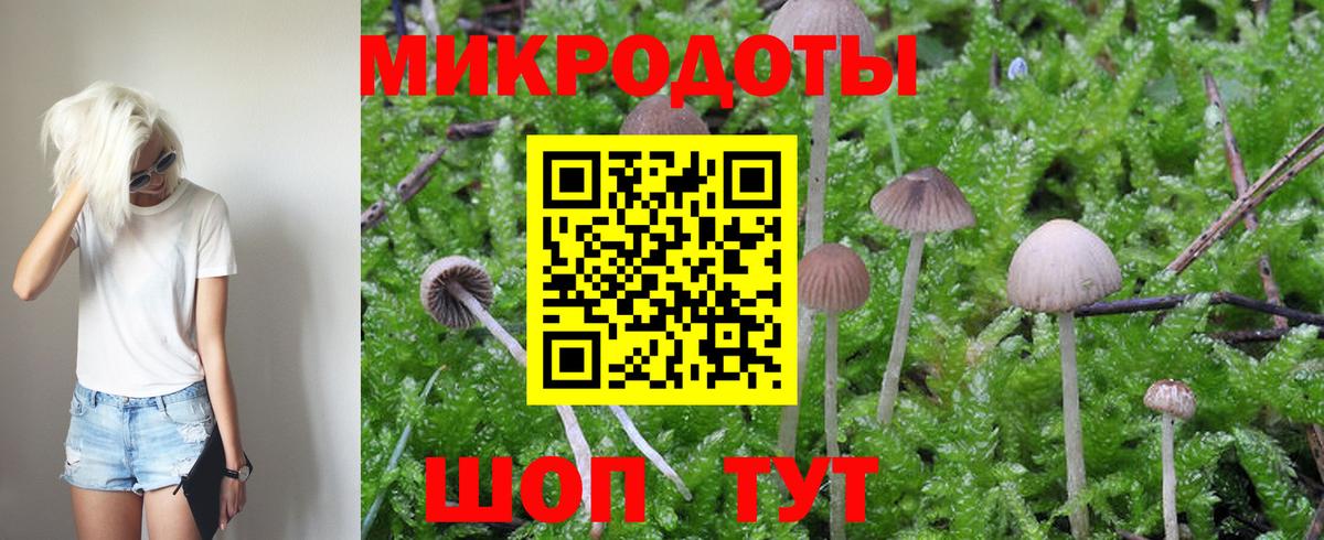 цена наркотик  Галлюциногенные грибы прущие грибы  Вход с VPN  Ялта 